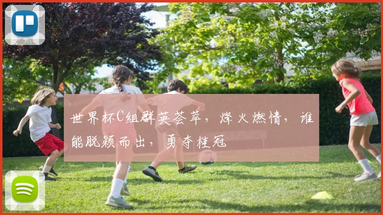 世界杯C组群英荟萃，烽火燃情，谁能脱颖而出，勇夺桂冠
