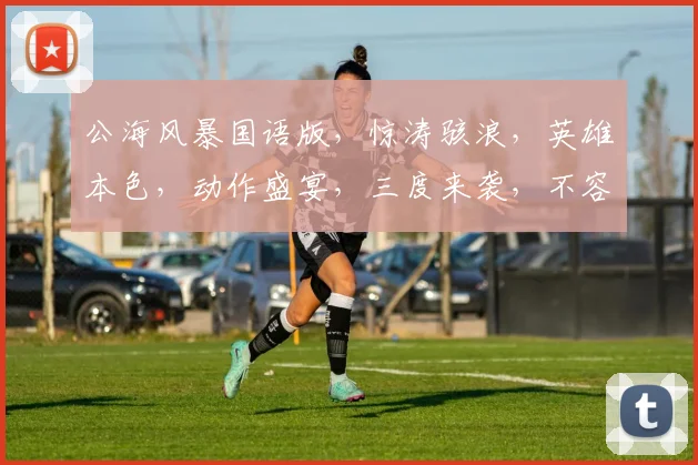 公海风暴国语版，惊涛骇浪，英雄本色，动作盛宴，三度来袭，不容错过